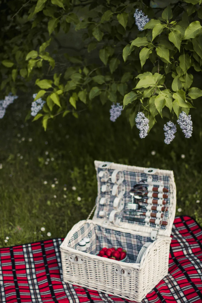 Elevate Your Summer Picnics with Perfect Tea and Essential Gear